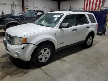  Salvage Ford Escape