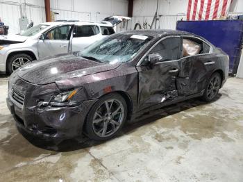  Salvage Nissan Maxima