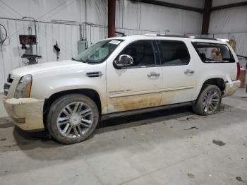  Salvage Cadillac Escalade