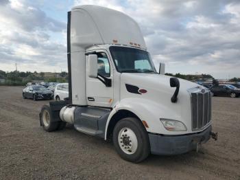  Salvage Peterbilt Tractor 579