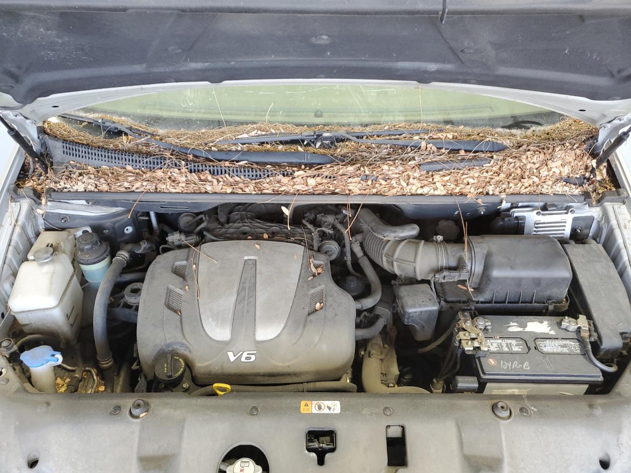 Kia Sedona Ex Image 10