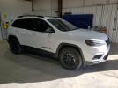 Jeep Cherokee Altitude Lux Image 10