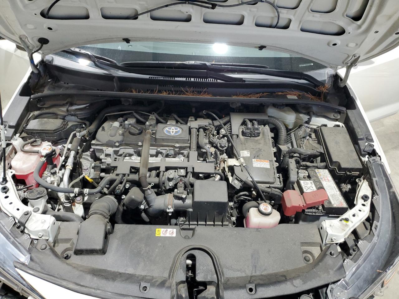 Toyota Corolla Le Image 11