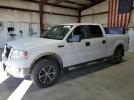 Ford F-150 Supercrew Image 1