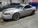 Ford Mustang Image 1