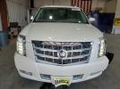 Cadillac Escalade Esv Platinum Image 5
