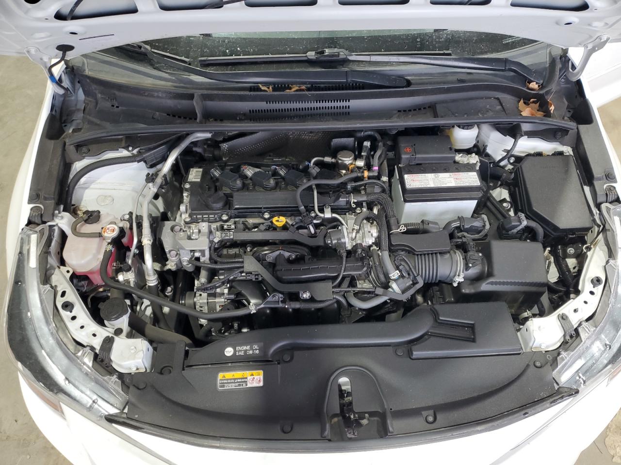 Toyota Corolla Le Image 8