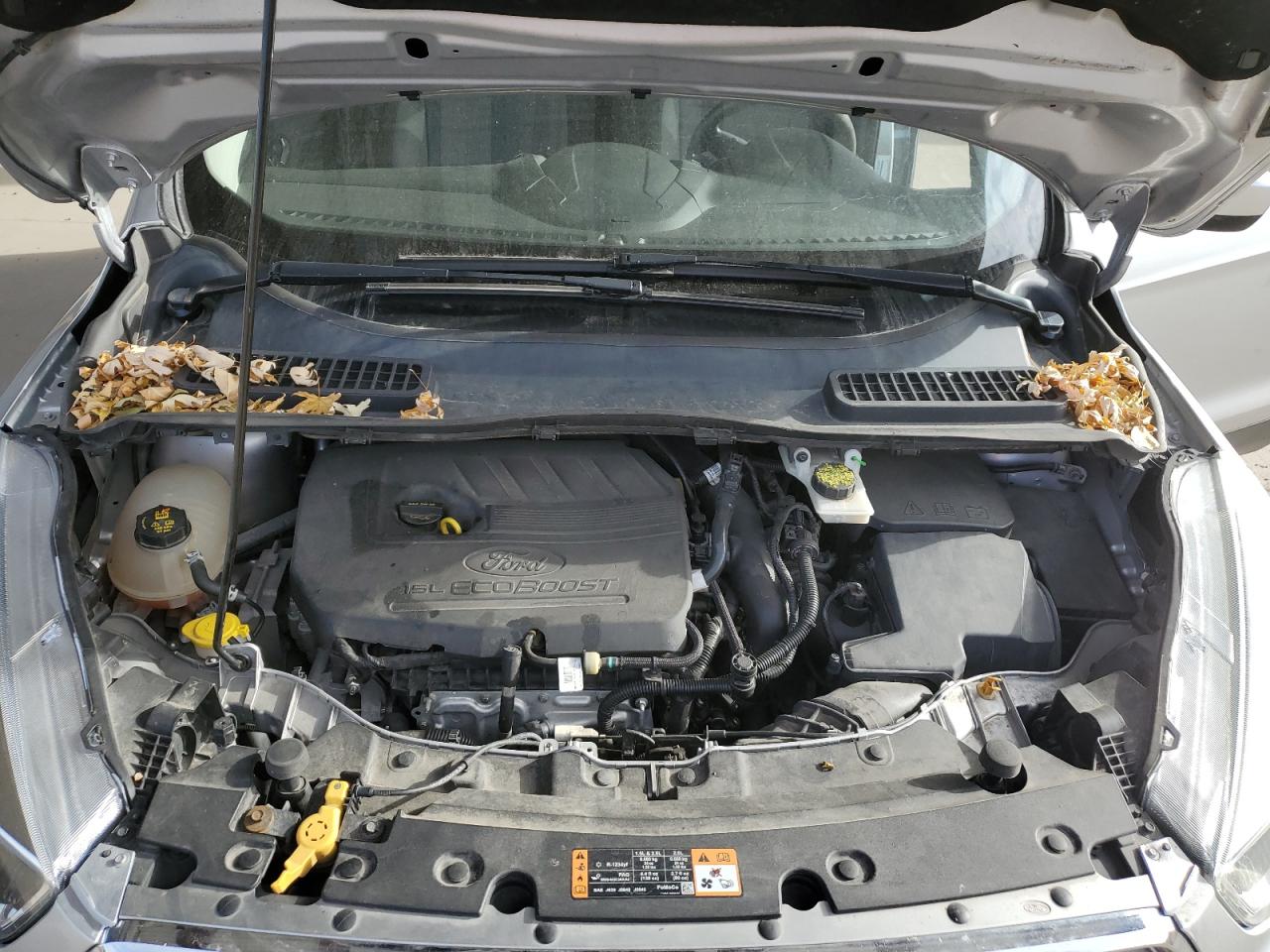 Ford Escape Se Image 12