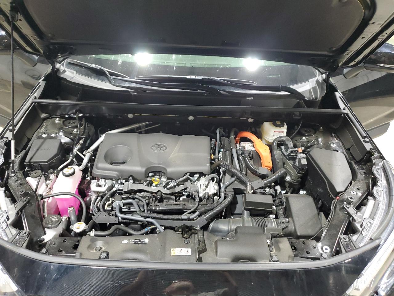 Toyota RAV4 Xle Premium Image 13