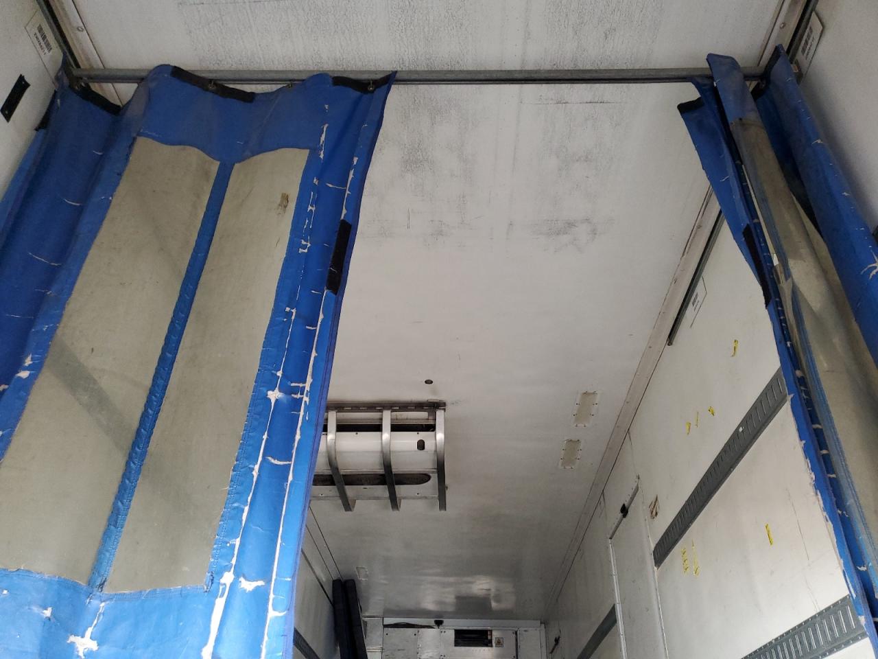 Great Dane Cmt Image 2