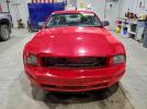 Ford Mustang Image 6