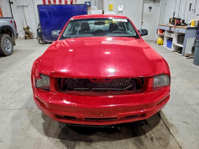 Ford Mustang Image 6