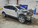 Ford Escape Titanium Image 4
