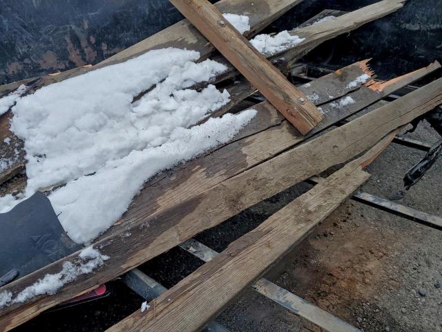 Walt Trailer Image 4