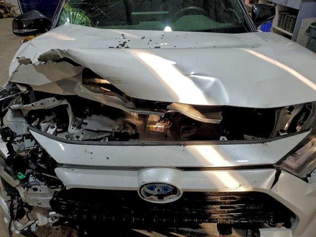 Toyota RAV4 Xse Image 6