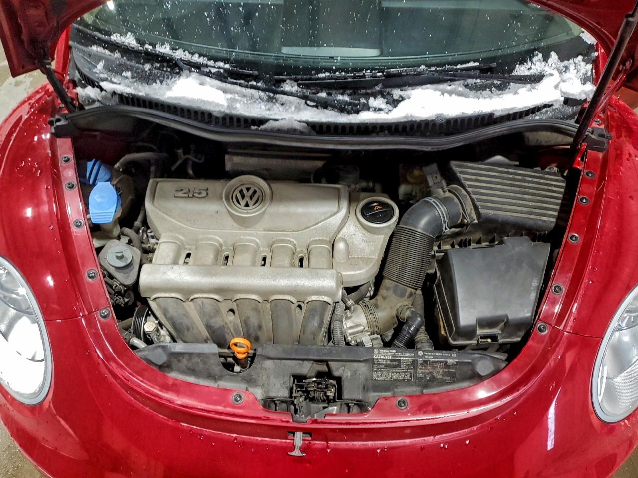 Volkswagen Beetle Convertible Option Package 2 Image 7